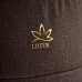 Детская коляска Esperanza Lotus Boss Classic 3 в 1 Детская коляска Esperanza Lotus Boss Classic 3 в 1